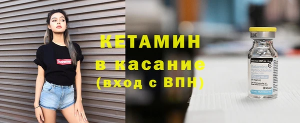 сатива Новодвинск