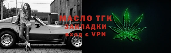 сатива Новодвинск