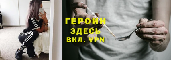 сатива Новодвинск