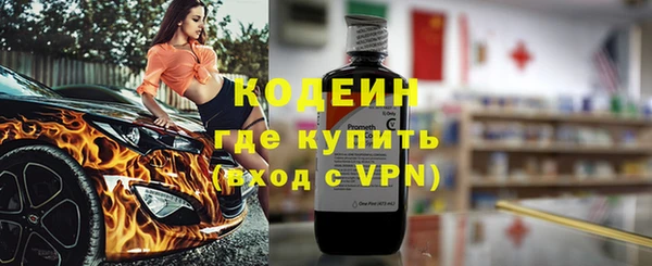 сатива Новодвинск