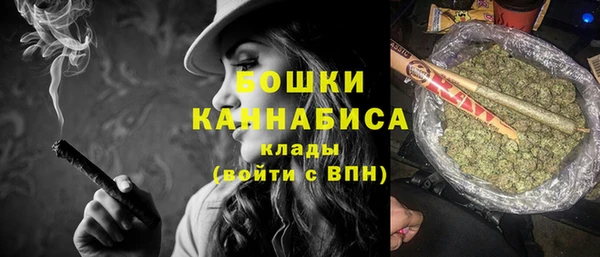 сатива Новодвинск
