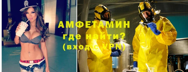 сатива Новодвинск
