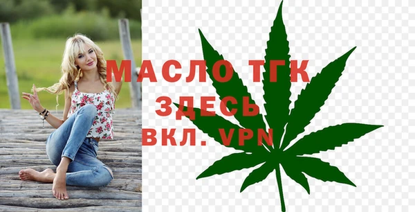 индика Нефтекумск
