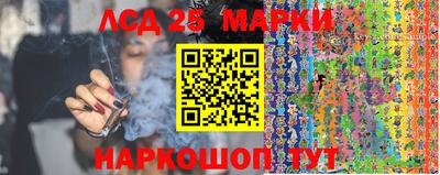 спайс Гай