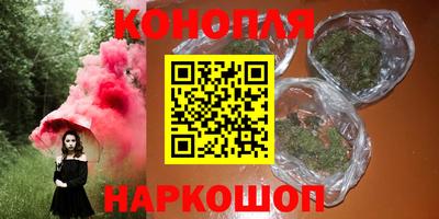 спайс Гай