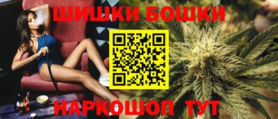 спайс Гай
