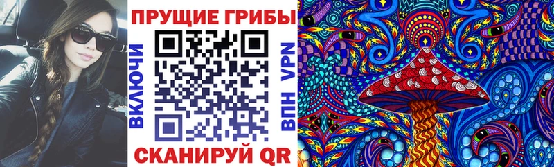 Псилоцибиновые грибы Psilocybine cubensis  Коряжма 