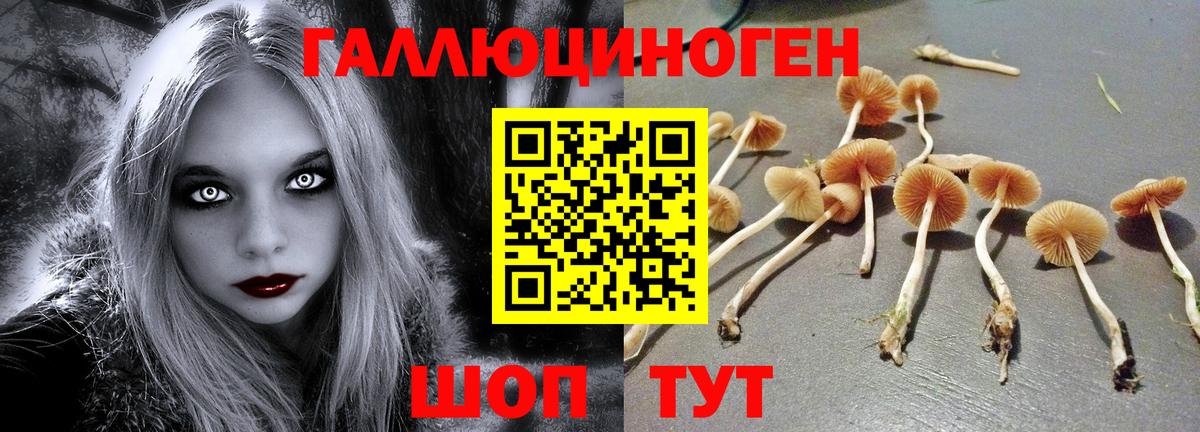 Псилоцибиновые грибы MAGIC MUSHROOMS Коряжма