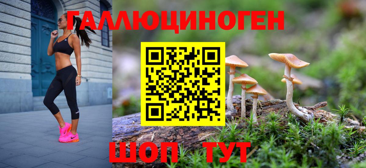 Коряжма  Галлюциногенные грибы мицелий  Вход с VPN  Галлюциногенные грибы мухоморы 