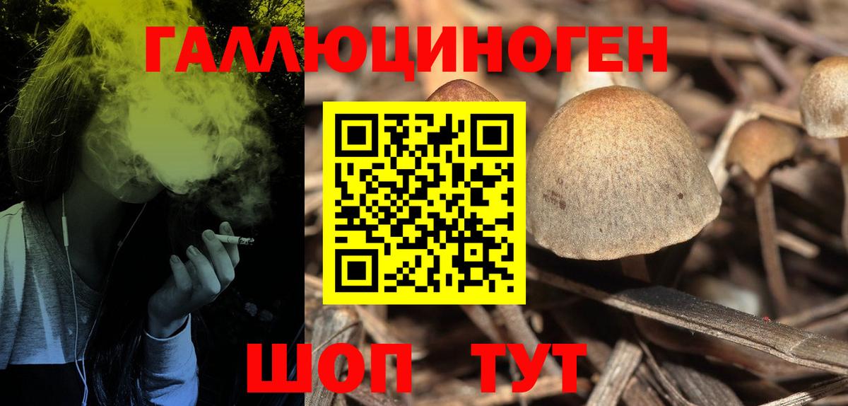 ГАШ Коряжма