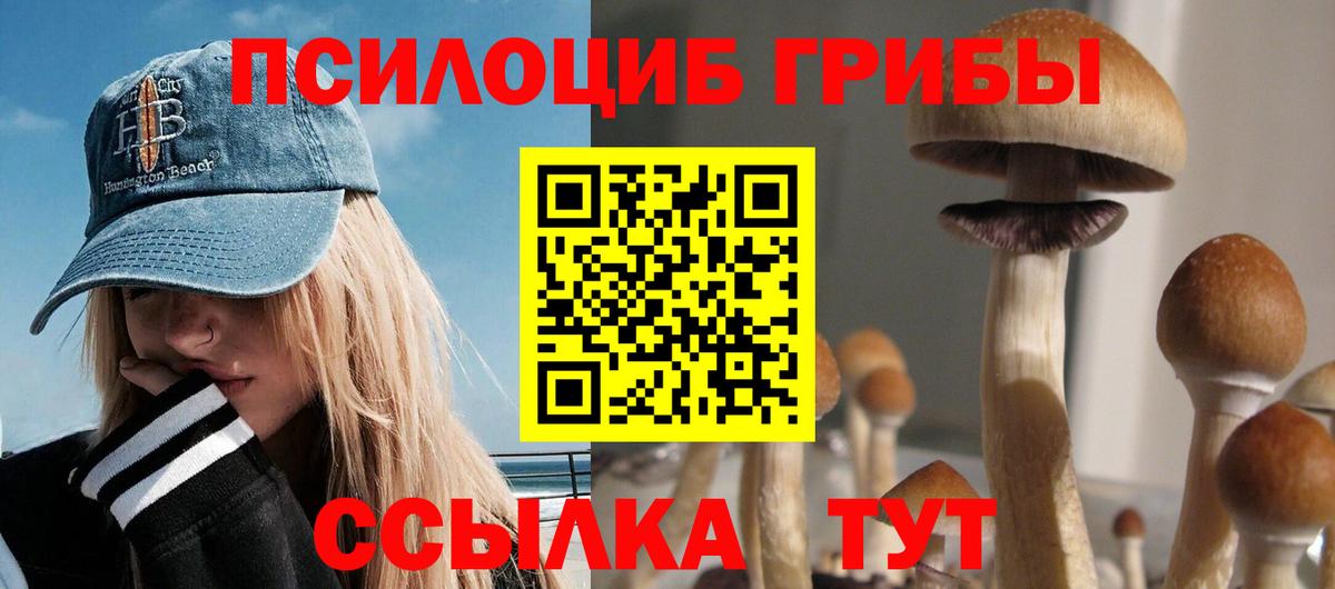 Псилоцибиновые грибы Cubensis Коряжма