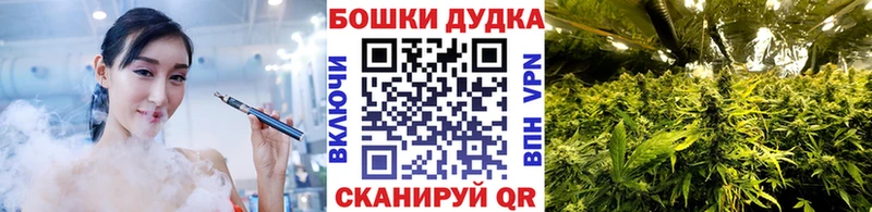 МАРИХУАНА план Коряжма